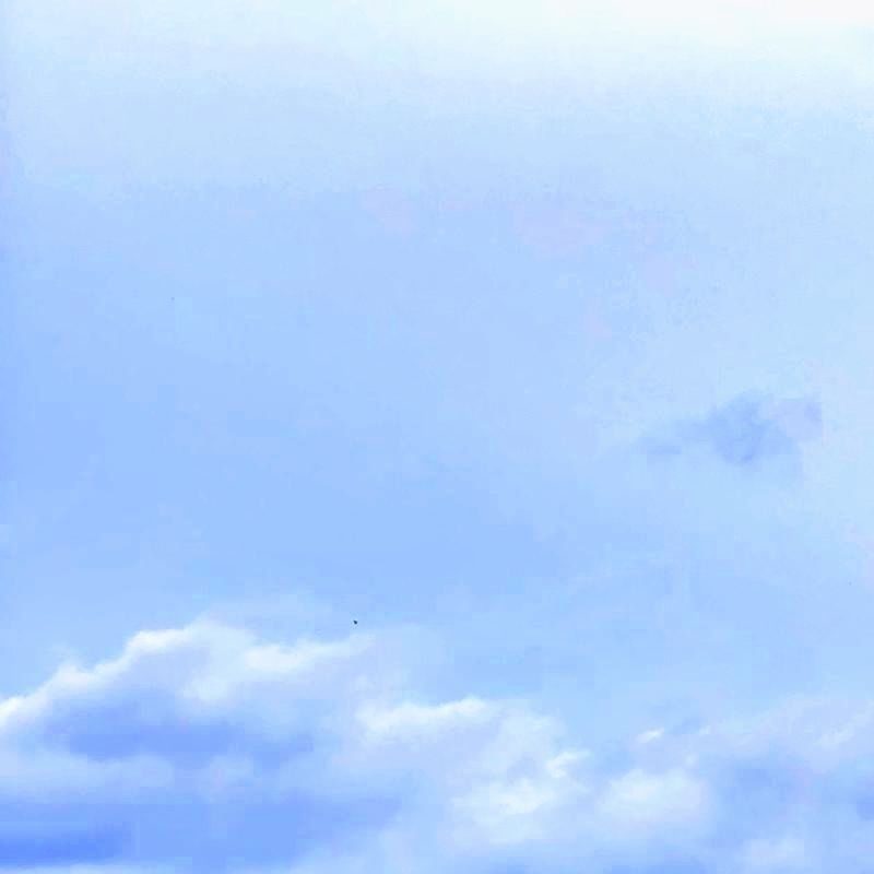 Profile picture of Alex