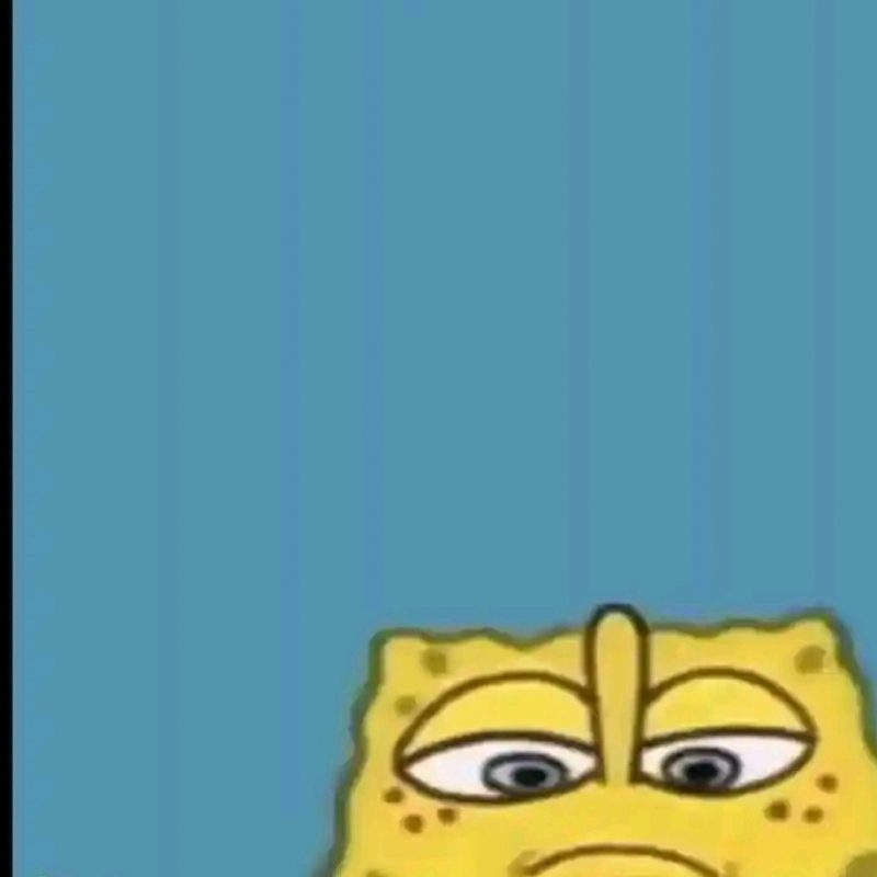 Profile picture of Sam