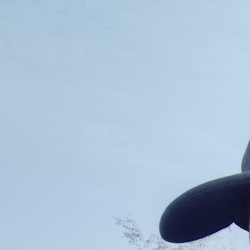 Profile picture of Dominica