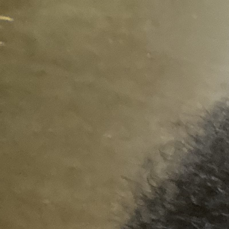 Profile picture of Glory