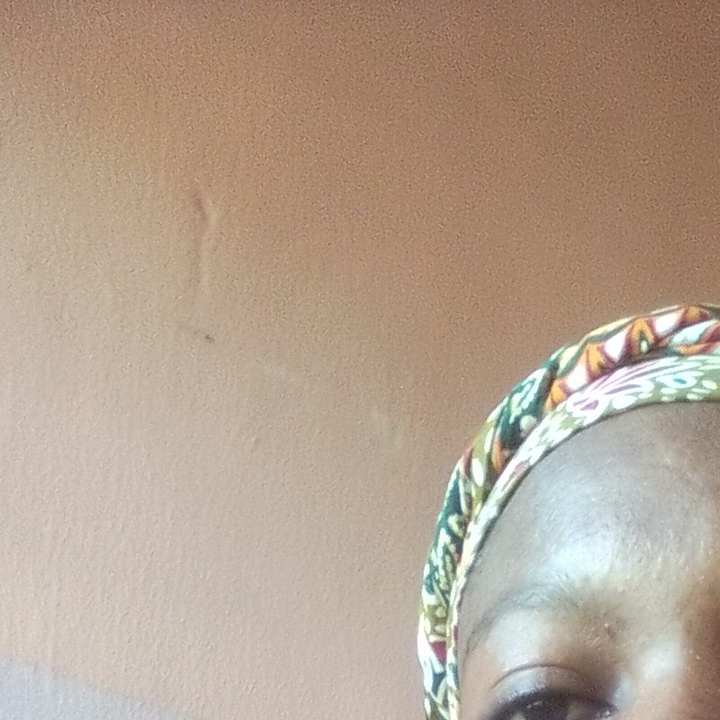 Profile picture of Bashad