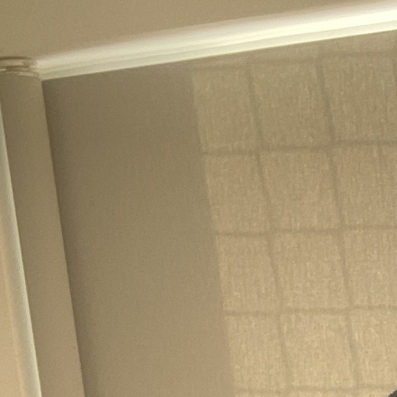 Profile picture of Eddy