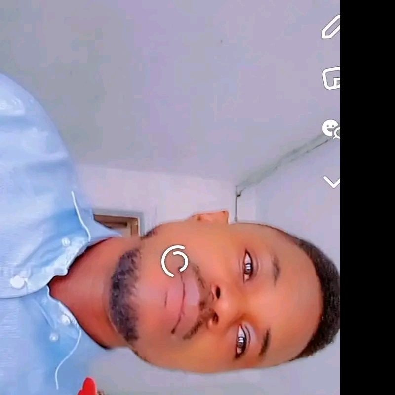 Profile picture of Dansholly