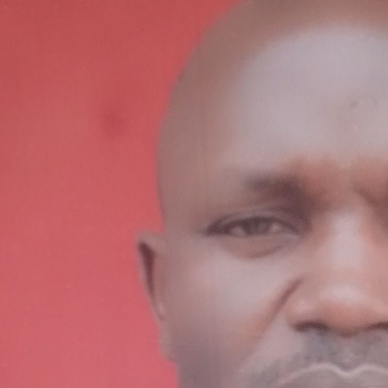 Profile picture of OLASEHINDE