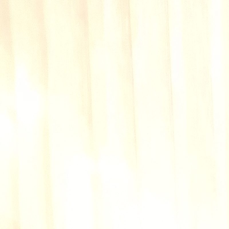 Profile picture of Flaviajanet