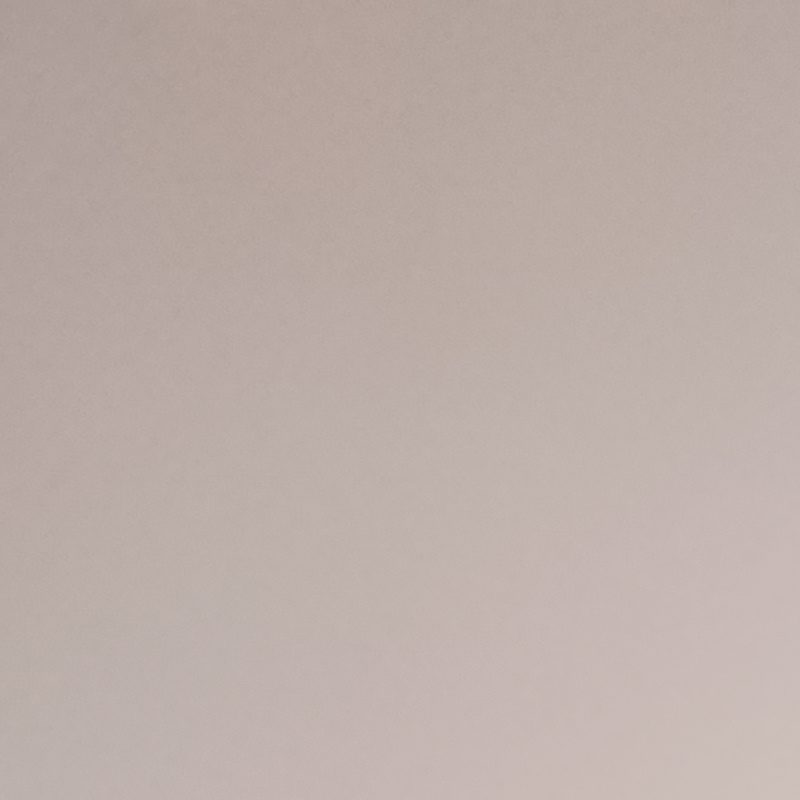Profile picture of Elegant