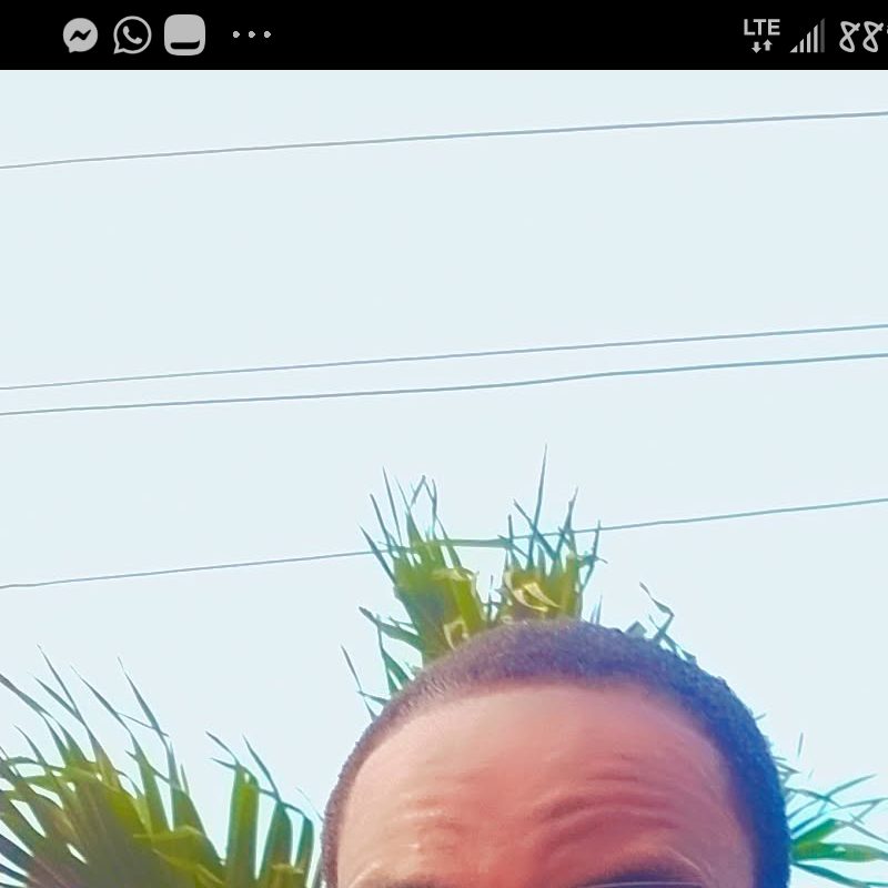 Profile picture of Olamix
