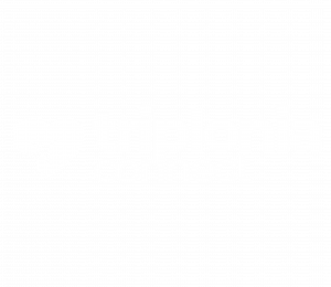 TRIPLONIACONNECT WHITE